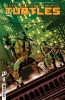TEENAGE MUTANT NINJA TURTLES 2024 #8 CVR A FORNES cover image