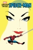 Jeph Loeb & Tim Sale: Spider-Man cover image