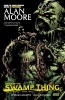 Saga of the Swamp Thing: Book Two cover image