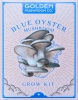 Golden Mushroom Co: Blue Oyster Grow Kit cover image