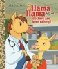 Llama Llama: Doctors are Here to Help! A Little Golden Book cover image