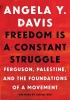 Freedom Is a Constant Struggle: Ferguson, Palestine, and the Foundations of a Movement (SC) cover image
