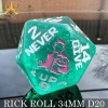 DND Dice: King of Crits Giant D20—Rick Rolled cover image