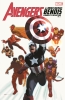 Avengers by Brian Michael Bendis: The Complete Collection Vol. 2 cover image