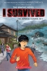I Survived: The Graphic Novel Vol. 12: The Japanese Tsunami, 2011 cover image