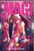 Magi: The Labyrinth of Magic Vol. 14 cover image
