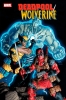 DEADPOOL WOLVERINE #8 cover image