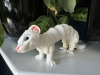 Plasonite Flexi-Animals: Ferret (White) cover image