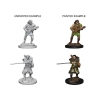 Dungeons & Dragons: Nolzur's Marvelous Miniatures—Wave 4: Human Bard (Male) cover image