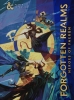 Dungeons & Dragons: Player Expansion — Forgotten Realms: Heroes of Faerun cover image