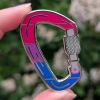 WanderSlut Enamel Pin: Pride Carabiner — Bi cover image