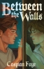 Between the Walls (SC) cover image