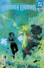 ABSOLUTE WONDER WOMAN #18 cover image