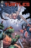 TEENAGE MUTANT NINJA TURTLES #16 cover image