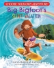 Choose Your Own Adventure: Big Bigfoot's Secret Vacation cover image