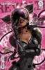 ABSOLUTE CATWOMAN #1 (of 6) CVR C KAARE ANDREWS cover image