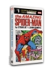 The Amazing Spider-Man Newspaper Strip Vol. 1 cover image