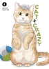 CAT CRAZY VOLUME 4 cover image