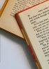 In the Margins cover image