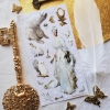 STICKII Sticker Sheet: Kingdom of the Snow Queen cover image