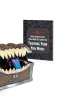 Dungeons & Dragons: Mimic Figurine cover image