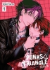 Punks Triangle: Stitch Vol. 1 cover image