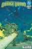 ABSOLUTE WONDER WOMAN #22 CVR A HAYDEN SHERMAN cover image