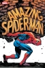 AMAZING SPIDER-MAN #33 cover image