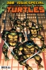 TEENAGE MUTANT NINJA TURTLES #20 300TH ISSUE SPECIAL CVR B EASTMAN AND LAIRD cover image