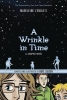 A Wrinkle in Time: The Graphic Novel (SC) cover image