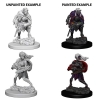 Dungeons & Dragons: Nolzur's Marvelous Miniatures - Drow cover image