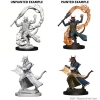 Dungeons & Dragons: Nolzur's Marvelous Miniatures—Wave 4: Tiefling Sorcerer (Male) cover image