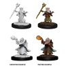 Dungeons & Dragons: Nolzur's Marvelous Miniatures - Gnome Wizard (Male) cover image