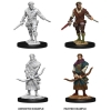 Dungeons & Dragons: Nolzur's Marvelous Miniatures - Human Rogue (Male) cover image