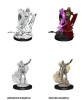 Dungeons & Dragons: Nolzur's Marvelous Miniatures - Lich & Mummy Lord cover image