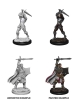 Dungeons & Dragons: Nolzur's Marvelous Miniatures - Human Paladin (Male) cover image